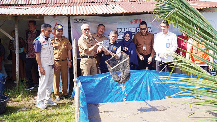 PANEN RAYA LELE— Kepala Dinas Perikanan dan Pangan Alfiadi, menghadiri kegiatan panen raya lele di kawasan Bukit Anak Air, Kelurahan Batipuh Panjang, Kecamatan Koto Tangah, Selasa (8/7).
