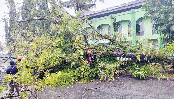 Cuaca Ekstrem Sepanjang Senin, 6 Pohon Tumbang di Kota Padang 1 EVAKUASI POHON— Tim Reaksi Cepat BBD Kota Padang dan unsur terkait lainnya melakukan evakuasi dan pembersihan pohon tumbang di depan Panti Asuhan PGAI, Kecamatan Padang Timur, Senin (14/7).