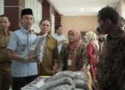 70 Persen Warga Solok Selatan Gantungkan Hidup dari Hutan