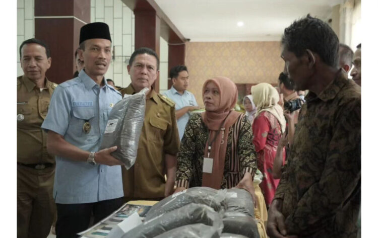 70 Persen Warga Solok Selatan Gantungkan Hidup dari Hutan 1 PRODUK KUPS— Wabup Sosel Yulian Elfi saat meninjau hasil produksi Kelompok Usaha Perhutanan Sosial (KUPS) yang bergerak
di berbagai sektor, seperti: produksi pupuk kompos, pengolahan kopi, beras organik, madu hutan dan jasa lingkungan.