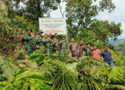Antisipasi Praktik Ilegal Logging, Tim Gabungan Pasang Patok Batas Hutan di Sako Pessel