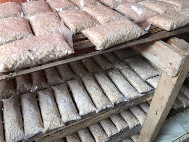 Pengrajin Tahu Tempe di Pessel Dukung Program Makan Bergizi Gratis 1 ILUSTRASI-Tempe.