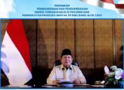 47 PLTS Diresmikan Presiden, 5.383 Rumah Tangga di Wilayah 3T Kini Nikmati Listrik Bersih