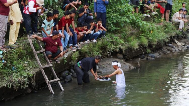 Wawako: Hoyak Tabuik Terus Dilestarikan dan Dijaga Keasliannya 1 IMG 20250701 WA0024