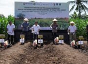 ”Jagung Ranah Minang untuk Ketahanan Pangan Indonesia”