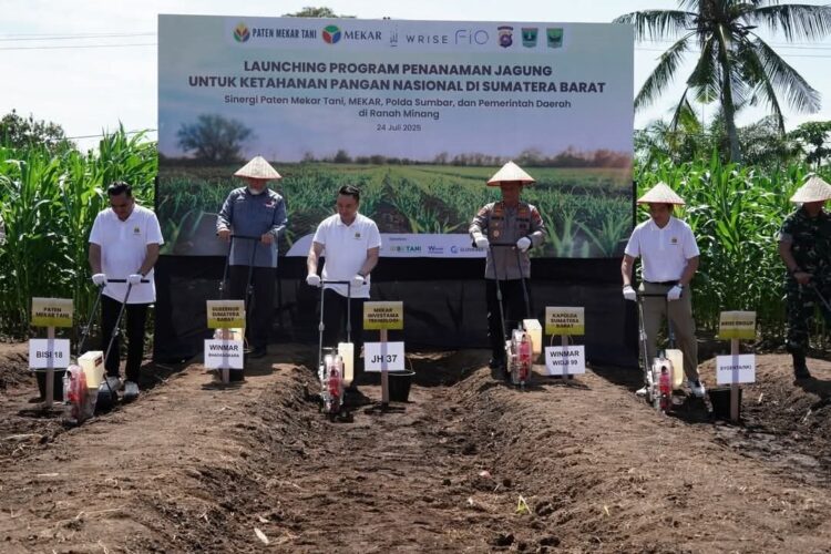 ”Jagung Ranah Minang untuk Ketahanan Pangan Indonesia” 1 PENANAMAN JAGUNG— Gubernur Sumbar Mahyedli, Kapolda Irjen Pol Gatot melakukan penanaman jagung serentak guna mendukung Program Ketahanan Pangan yang digagas Presiden RI Prabowo Subianto melalui penanaman jagung.
