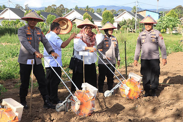 Wujudkan Ketahanan Pangan, Polres Limapuluh Kota Tanam Jagung 1 TANAM JAGUNG— Kapolres Limapuluh Kota AKBP Syaiful Wachid, bersama perseonel melakukan penanaman jagung sebagai bentuk komitmen untuk memperkuat ketahanan pangan.