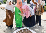 Jelang Lomba Tingkat Provinsi, Ketua TP PKK Agam Tinjau Kesiapan Nagari Panta Pauah