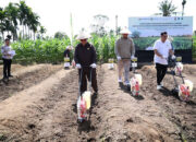 Ketua DPRD Sumbar Dorong Kolaborasi untuk Ketahanan Pangan, Muhidi: Hentikan Praktik Petani Bertarung Sendiri di  Pasar