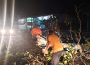 Pohon Tumbang Tutup Jalan Lintas Payakumbuh-Lima Puluh Kota