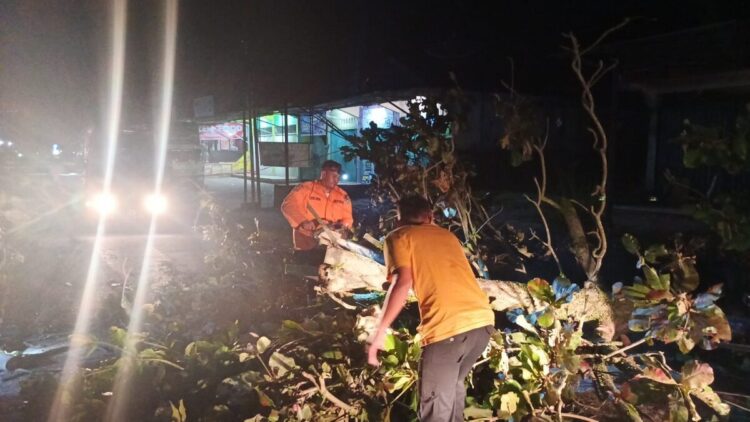 Pohon Tumbang Tutup Jalan Lintas Payakumbuh-Lima Puluh Kota 1 EVAKUASI POHON TUMBANG— Tim BPBD Limapuluh Kota melakukan evakuasi dan pembersihan material pohon tumbang, yang menghambat akses jalan lintas Payakumbuh-Lima Puluh Kota, Selasa (15/7) dini hari sekitar pukul 01.45 Wib.