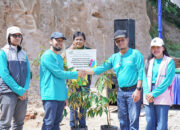 Cegah Longsor dan Pemanasan Global, PLN Peduli Hadir dalam Program Penghijauan di Nagari Nan Limo