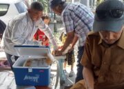 Antisipasi Penyebaran Virus Rabies, Pemko Gelar Vaksinasi Rabies Massal di Seluruh Kelurahan