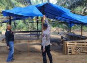 Polsek BAB Tapan Bongkar Tenda Sabung Ayam