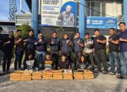 4 Kurir Selundupkan 100 Kg Ganja dari Sumut ke Sumbar, Dibawa Pakai Mobil Pikap dan Minibus