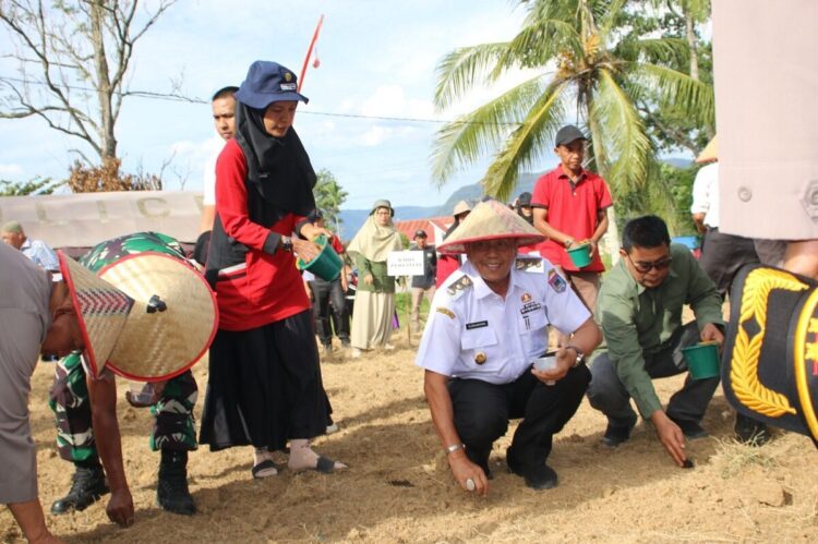 TANAM JAGUNG SERENTAK— Wakil Wali Kota Payakumbug Elzadaswarman, melakukan penanaman jagung  di Kelurahan Koto Panjang, Kecamatan Payakumbuh Timur, beberapa waktu lalu