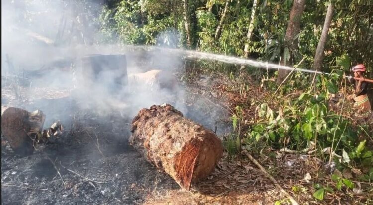 Cegah Karhutla di Pasaman, Polhut Kehutanan Gencar Patroli 1 PADAMKAN—Petugas Damkar Pasaman saat melakukan pemadaman api pada kebakaran lahan di Puncak Koto Panjang, Kecamatan Rao Selatan, Kabupaten Pasaman
