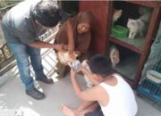 Sawahlunto Gencar Vaksinasi Hewan Penular Rabies, 1.000 Dosis Disiapkan