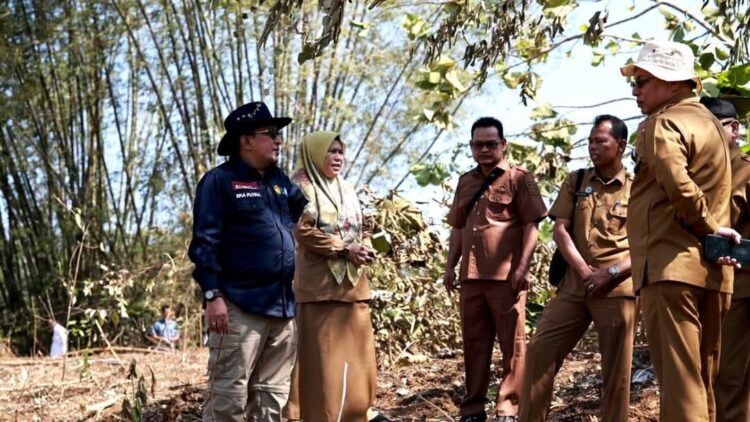 Gerak Cepat, Pemkab Tanah Datar Sediakan Lahan Sekolah Rakyat 1 LOKASI SEKOLAH RAKYAT— Bupati Tanahdatar Eka Putra bersama jajaran melakukan peninjauan lokasi Sekolah Rakyat.