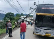 Bus Miyor Holiday Tertimpa Tiang Listrik
