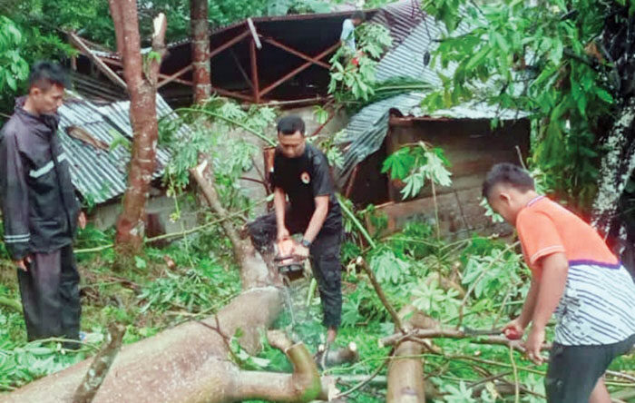 Rumah Warga Ambruk Tertimpa Pohon Tumbang 1 TIMPA RUMAH— Tim BPBD Pessel melakukan pembersihan material pohon tumbang yang menimpa rumah di Bukit Putus, Painan Utara, Kecamatan IV Jurai.