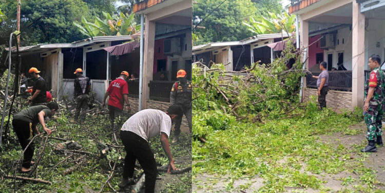 PEMBERSIHAN POHON TUMBANG— Rescue BPBD Kota Padang bersama unsur terkait melakukan pembersihan pohon tumbang di di kawasan Komplek Kehakiman Blok H, Kelurahan Cangkeh Nan XX, Kecamatan Lubuk Begalung, Kamis (28/8) malam. Selain itu, Jumat (29/8), pohon tumbang juga terjadi di Kelurahan Kampung Baru Nan XX, Kecamatan Lubuk Begalung.