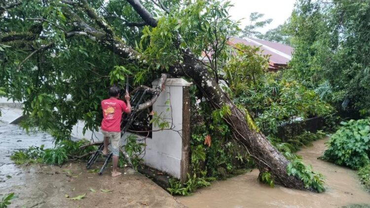 Hujan Deras Kepung Kota Padang, Jalan Tergenang hingga Pohon Tumbang Timpa Rumah Warga 1 GENANGAN AIR— Hujan deras mengguyur sebagian besar wilayah Kota Padang, Jumat (8/8), menyebabkan beberapa titik ruas jalan tergenang air hingga 50 cm, dan menyebabkan kendaraan masyarakat mengalami mogok. Selain itu, BPBD Kota Padang juga melaporkan terjadi pohon tumbang.