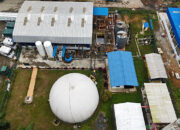 Perdana! Limbah Sawit jadi Listrik, Kado Spesial PLN untuk HUT RI ke-80