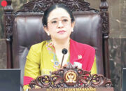 Paripurna DPR Setujui Inosentius Samsul Jadi Hakim MK Gantikan Arief Hidayat