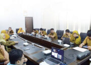 413 Daerah Masih Jual Minyakita di Atas HET, Pemkab Agam Ambil Langkah Antisipatif