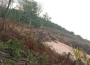 Tambang Emas Ilegal Menjamur di Dharmasraya, Milik Warga Lokal hingga dari Jawa, APH Diminta Turun Tangan