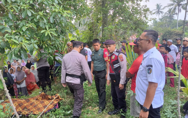 Sakit Tak Kunjung Sembuh, Petani Gantung Diri di Pohon 1 GANTUNG DIRI— Polisi bersama warga mengevakuasi jenazah korban M (55) yang ditemukan tergantung di Jorong Batu Labi, Nagari Mungo, Kecamatan Luak,
Kabupaten Limapuluh.