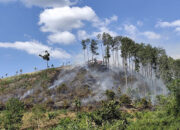 Karhutla Kembali Terjadi, Bukik Kawasan Wisata Barigi Terbakar