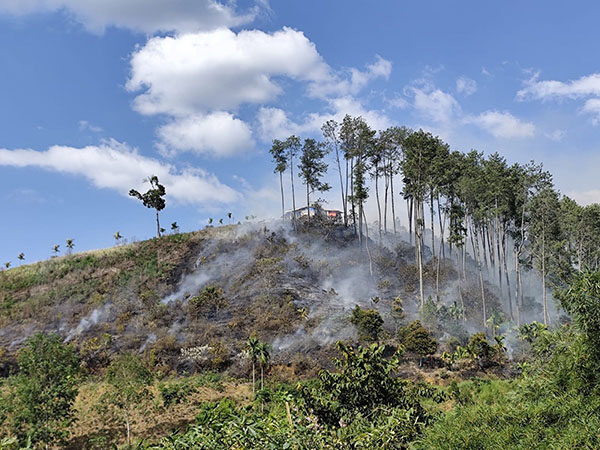 Karhutla Kembali Terjadi, Bukik Kawasan Wisata Barigi Terbakar 1 HANGUS—Terlihat api membabat hangus Bukik Kawasan Wisata Barigi sejak dua haru lalu.
