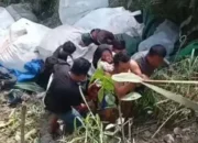 Pasutri Boncengan Motor Terjun ke Jurang, Alami Patah Tulang hingga Luka Robek