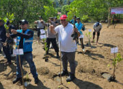 PT Semen Padang Dukung Pelestarian Pesisir dan Ekosistem Laut, Ikut Serta Dalam Penanaman 1.000 Bibit Mangrove di Sungai Pisang