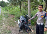 Bertabrakan dengan Pikap, Pemotor Tewas di Tempat