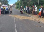 Pensiunan PNS Tewas Ditabrak Pemotor