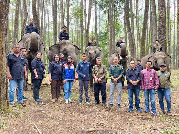 Pertamina Patra Niaga Dukung Wisata Edukasi Konservasi Gajah di Aek Nauli 1 DUKUNG—Pertamina Patra Niaga melalui Fuel Terminal (FT) Pematang Siantar memberikan dukungan untuk pengembanga kawasan wisata edukasi konservasi Gajah Sumatera di kawasan hutan Aek Nauli, Kabupaten Simalungun.