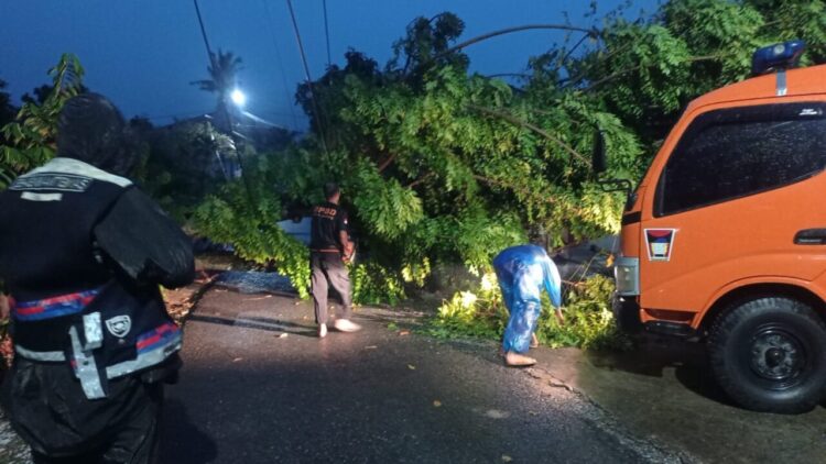 Pohon Tumbang Timpa Kanopi Rumah 1 PEMBERSIHAN— Petugas BPBD Kota Padang melakukan pembersihan material pohon
tumbang yang menimpa kanopi rumah dan kabel Telkom.