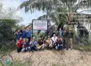 Ditanami Sawit Industri, Satgas PKH Tertibkan 3.540 Hektare Lahan Hutan di PT BRM