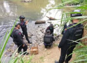 Ditemukan di Aliran Sungai Batang Sinamar, Tim Gegana Polda Sumbar Musnahkan Granat Peninggalan Zaman Penjajahan