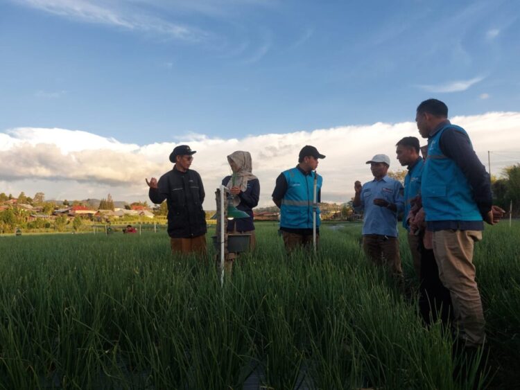 PLN UID Sumbar Dukung Swasembada Pangan, Terapkan Electrifying Agriculture pada Sejumlah Komoditi Pertanian 1 General Manager PT PLN UID Sumbar, Ajrun Karim meninjau penerapan light trap program teknologi electrifying agriculture pada komoditi bawang di Alahan Panjang Kabupaten Solok.