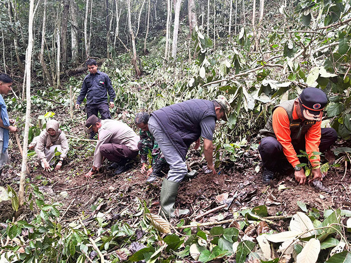 Dorong Kembangkan Pertanian Terpadu, Wabup Candra Tinjau Perkebunan Kopi 1 PEREKBUNAN KOPI— Wakil Bupati Solok Candra meninjau lokasi perkebunan kopi di Ulu Rimbo, Nagari Paninggahan Kecamatan Junjung Sirih.