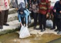 20 Ribu Benih Ikan Mas dan Nila Ditebar 10 20 Ribu Benih Ikan Mas dan Nila Ditebar