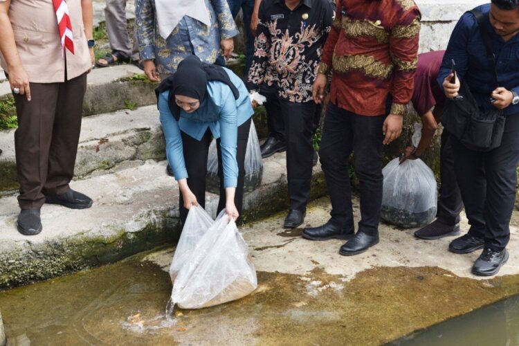 20 Ribu Benih Ikan Mas dan Nila Ditebar 1 anggo6ta dewan tebar benih ikan