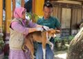 Anjing Rabies Serang 10  Warga, Jari Tangan Putus, Sembilan dapat Pengobatan Medis