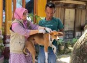 Anjing Rabies Serang 10  Warga, Jari Tangan Putus, Sembilan dapat Pengobatan Medis