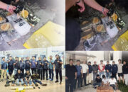 50 Kg Ganja dan 8 Paket Besar Sabu Gagal Beredar di Sumbar, 7 Pelaku Ditangkap Tim BNNP