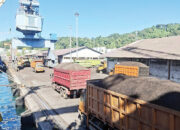 12.000 Ton Cangkang Sawit Sumbar Lolos Karantina ke Jepang